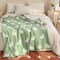 Ultra Soft Cozy Happy Easter Rabbits Spring Knitted Throw Blanket Fluffy Microfiber Checkerboard Bed Blanket Lightweight Both Sides Blanket for Couch Sofa Bed… (Rabbit Green, Throw 50“x60”)